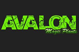  Avalon Magic Plants Kortingscode